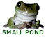 Web Developer