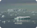 Day 8 Pack Ice 282