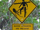 Far North Queensland 02 (10)
