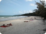 Far North Queensland 02 (11)
