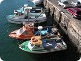 Wollongong (24)